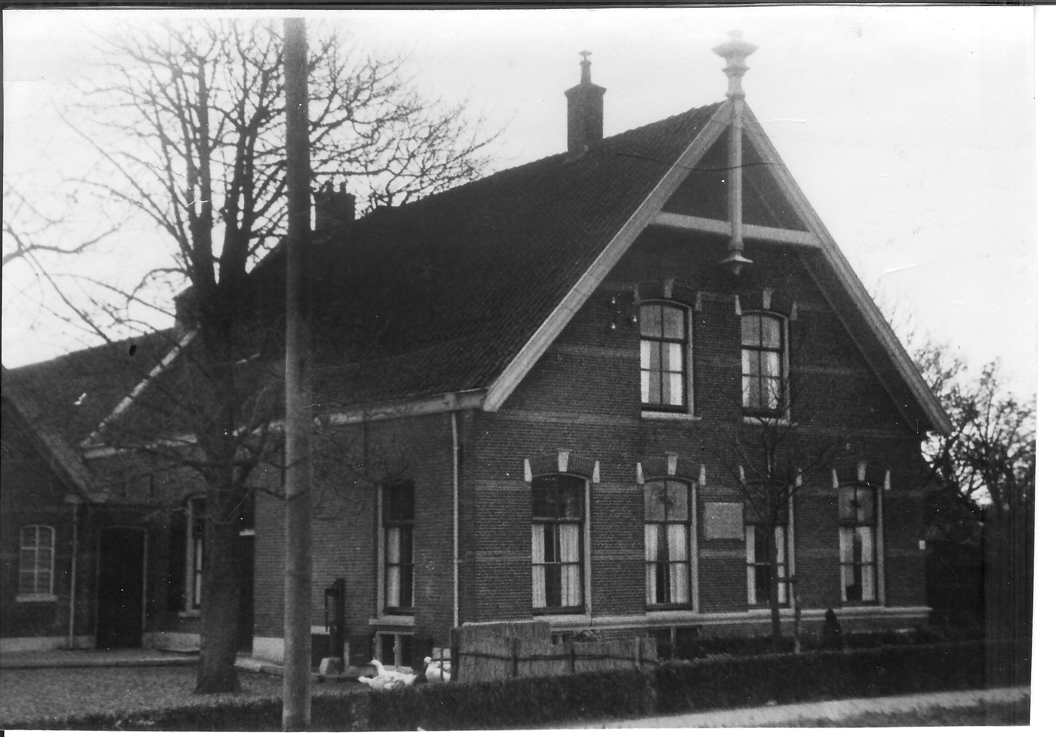 De boerderij van Nicolaas van der Wel (jaren '50)